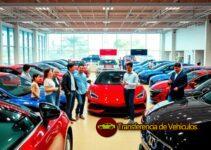 Carros para coches: opciones y precios